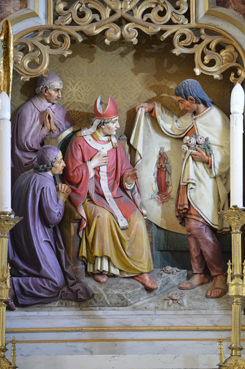 The miraculous image of Our Lady of Guadalupe, given to St. Juan Diego.